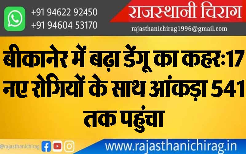 बीकानेर में बढ़ा डेंगू का कहर:17 नए रोगियों के साथ आंकड़ा 541 तक पहुंचा