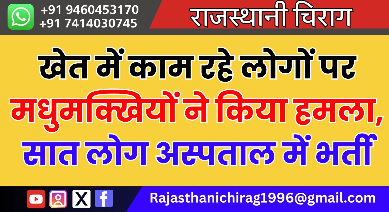 खेत में काम रहे लोगों पर मधुमक्खियों ने किया हमला, सात लोग अस्पताल में भर्ती