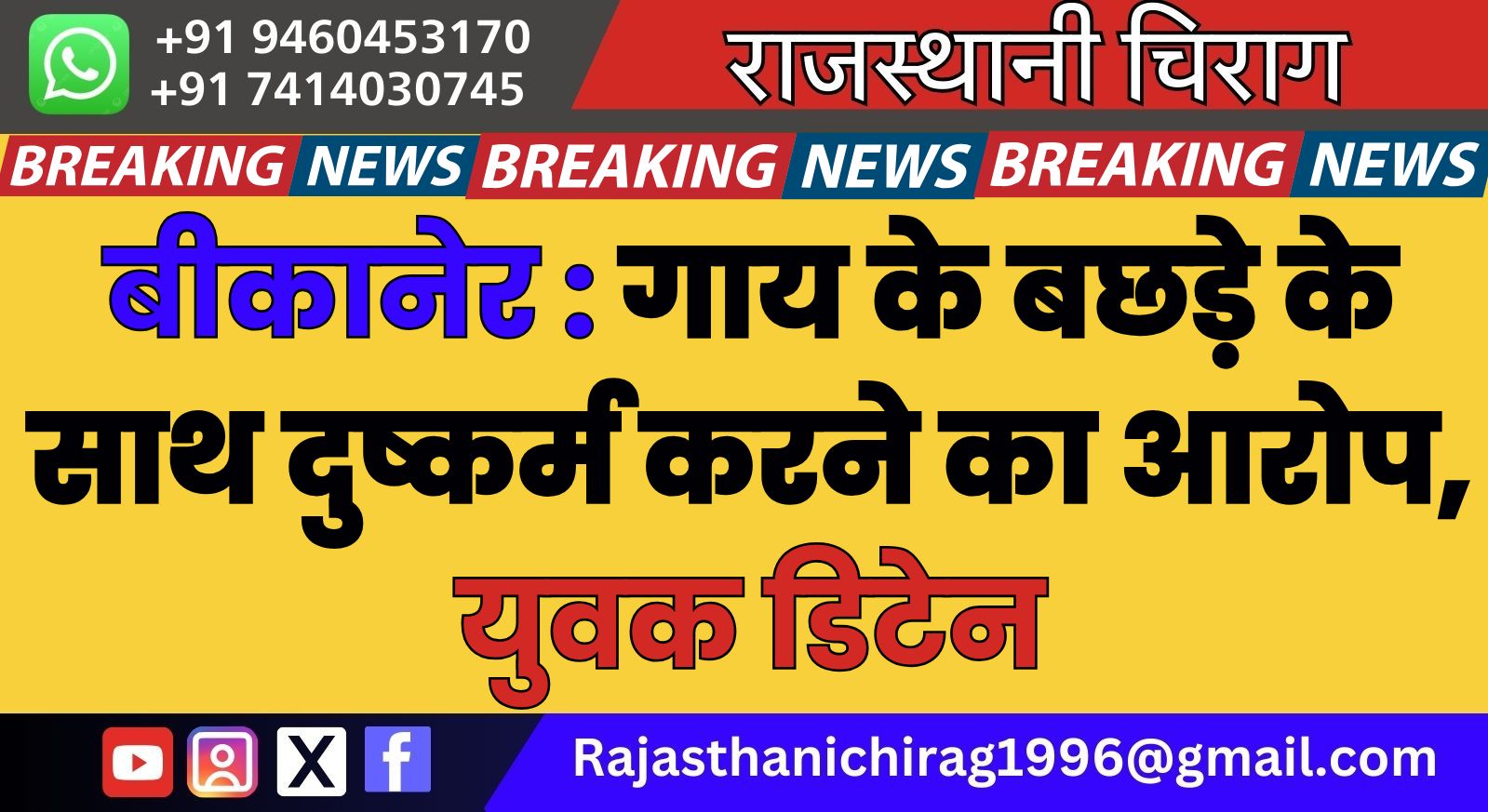 बीकानेर : गाय के बछड़े के साथ दुष्कर्म करने का आरोप, युवक डिटेन