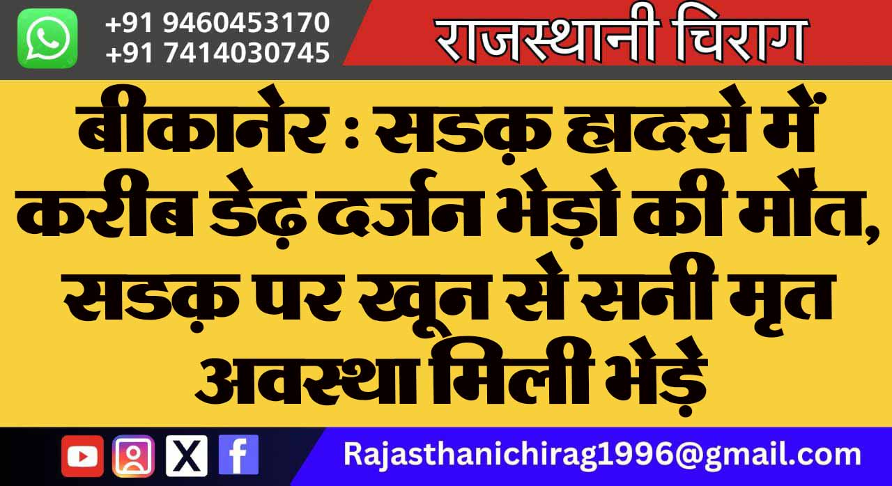 बीकानेर : सडक़ हादसे में करीब डेढ़ दर्जन भेड़ो की मौत, सडक़ पर खून से सनी मृत अवस्था मिली भेड़े