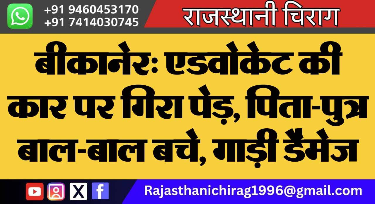 बीकानेर: एडवोकेट की कार पर गिरा पेड़, पिता-पुत्र बाल-बाल बचे, गाड़ी डैमेज