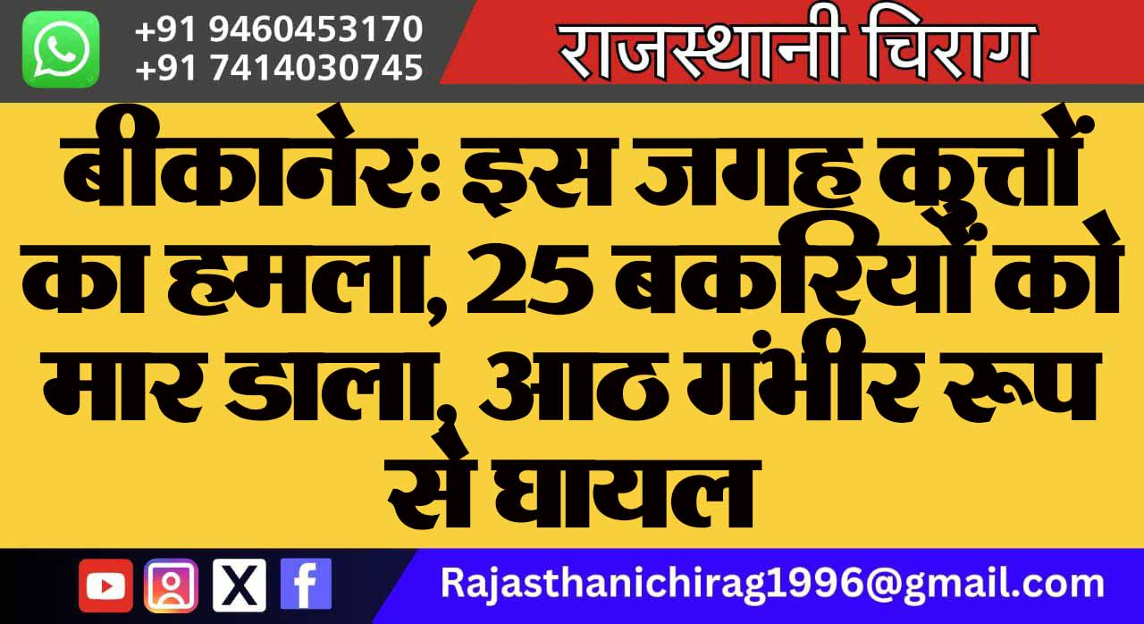 बीकानेर: इस जगह कुत्तों का हमला, 25 बकरियों को मार डाला, आठ गंभीर रूप से घायल