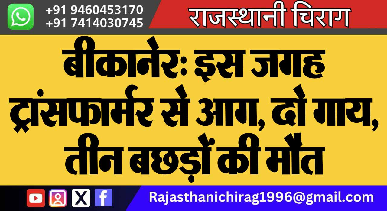 बीकानेर: इस जगह ट्रांसफार्मर से आग, दो गाय, तीन बछड़ों की मौत
