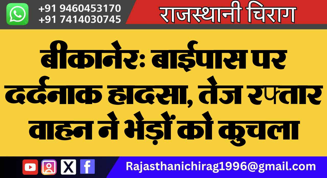 बीकानेर: बाईपास पर दर्दनाक हादसा, तेज रफ्तार वाहन ने भेड़ों को कुचला